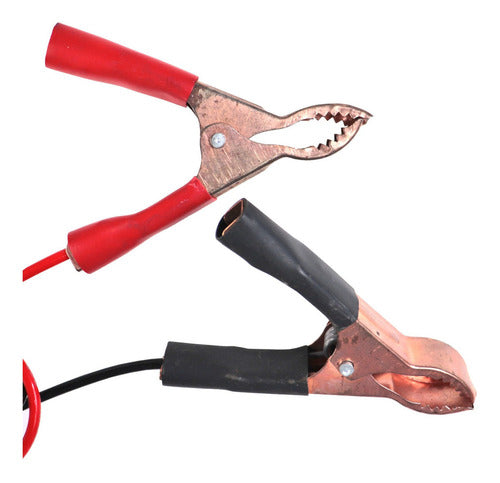 carregador de bateria inteligente 10a 12v flach f10 sd