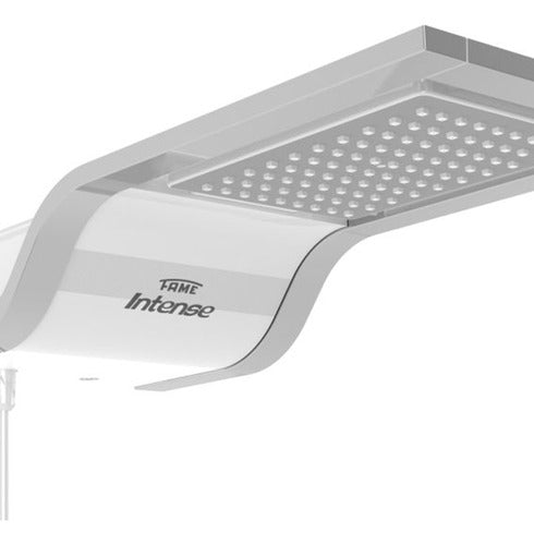 Chuveiro/ducha Elétrico Fame Intense 6500w 220v Khrome 4485